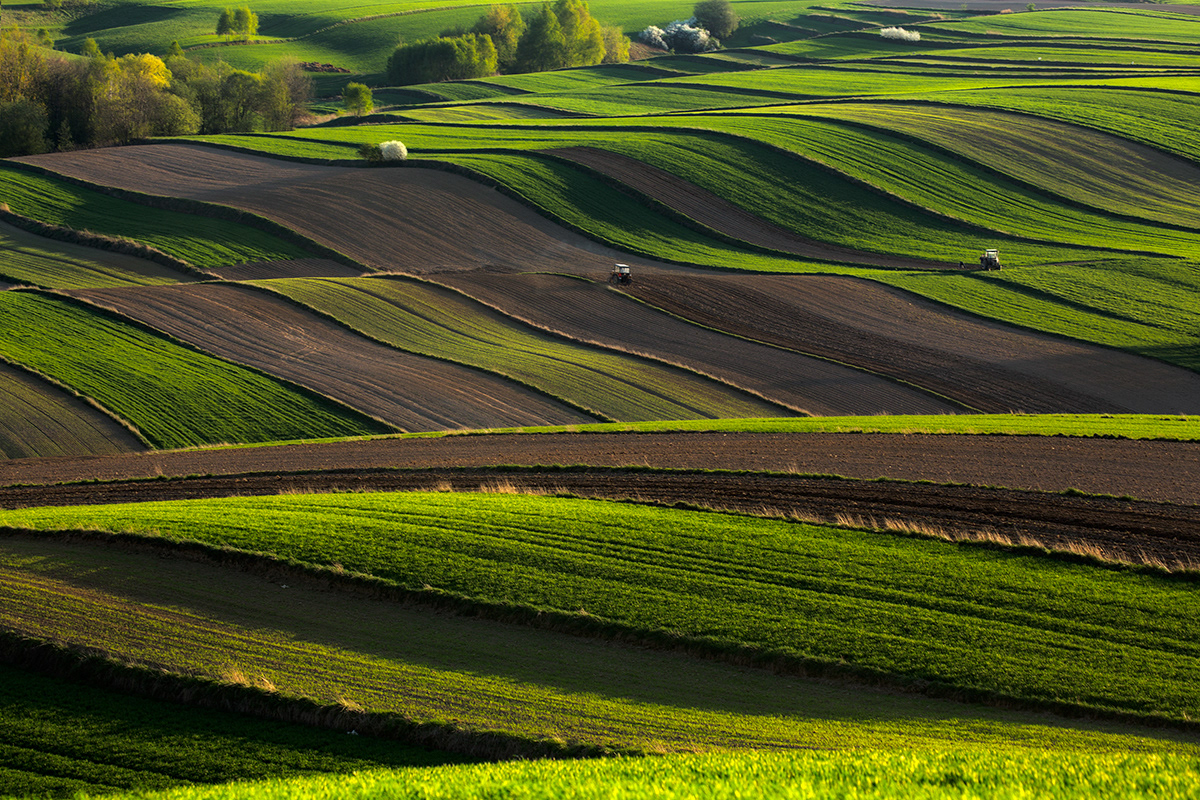 green field poland Czech Landscape ponidzie moravian jura power roztocze