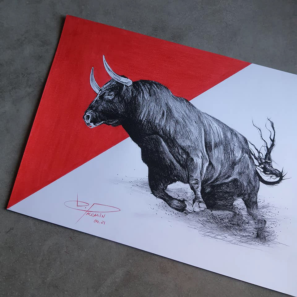 art bull bulldrawing conte dessin draw FaberCastell PierreNoire Taureau taureau dessin