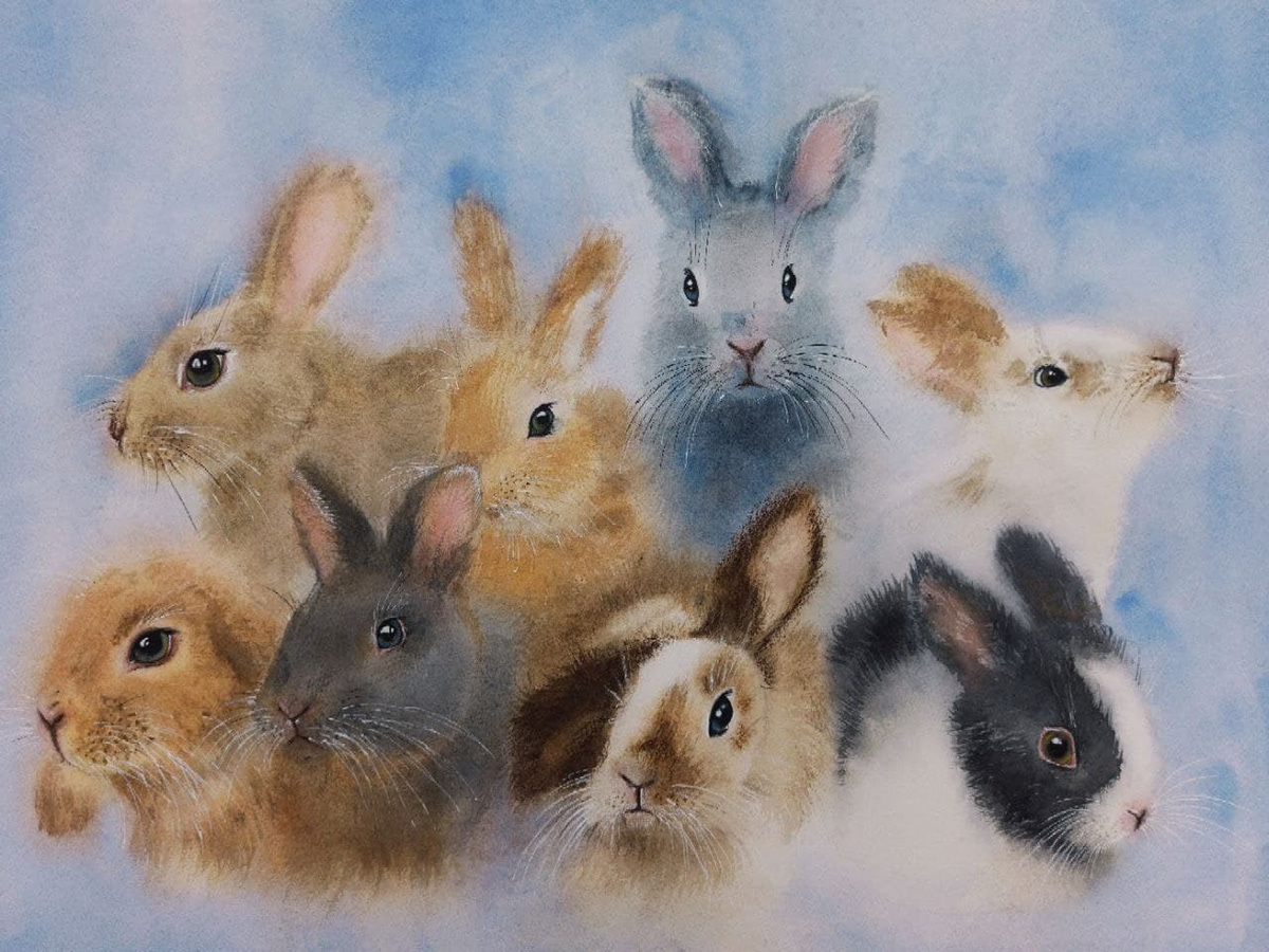 art artist MixMedia rabbits watercolor