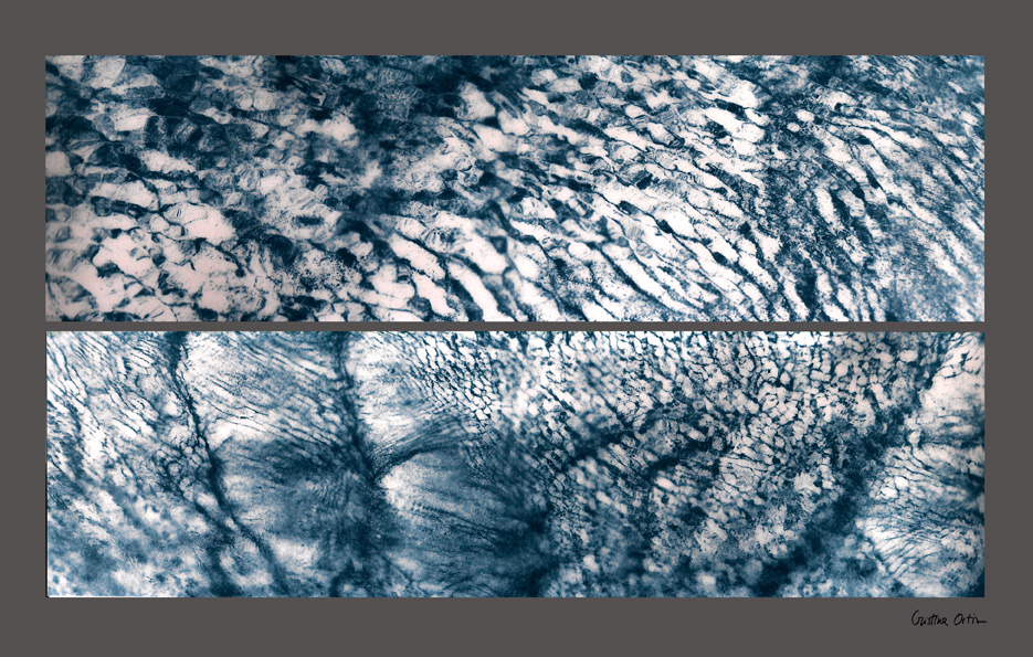 alternative photgraphy cyanotype Landscape Photography 