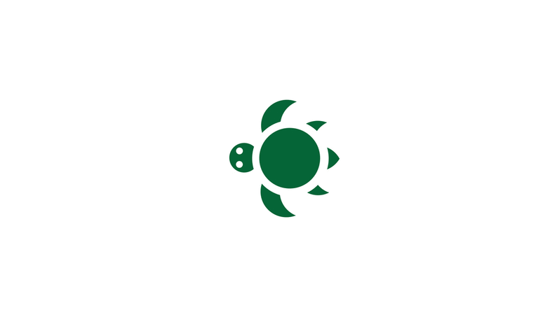 animals Turtle ladybag lizard bee pictogram Icon circle bag Collection