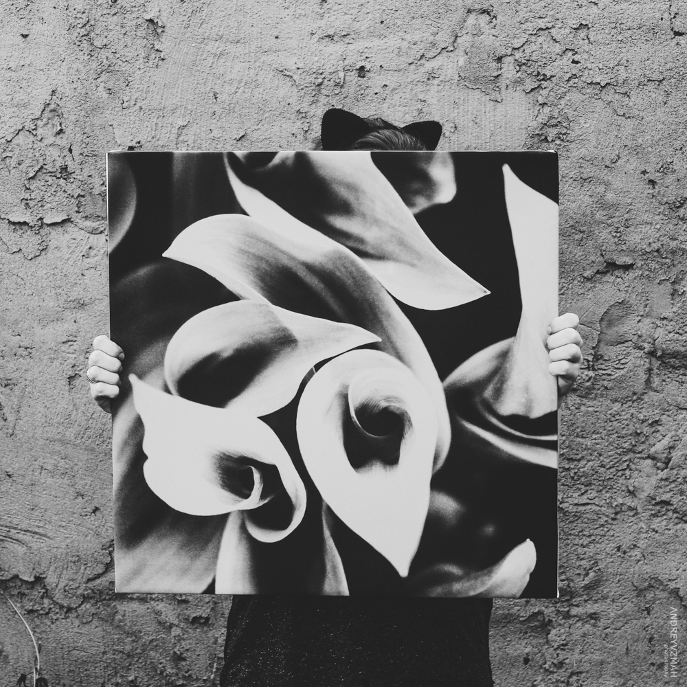 lily photo b&w noir Flowers flower illusion poster andreyvzmah karagandy fauna life
