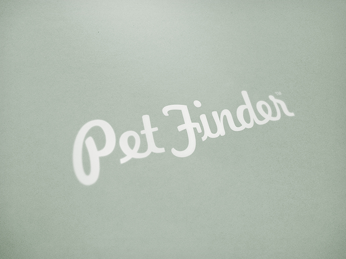 brand Website logo identity dog Cat Pet letterhead clean professional Layout simple line friendly user-friendly