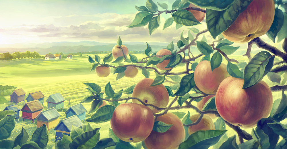 summer Landscape apple rural sunlight