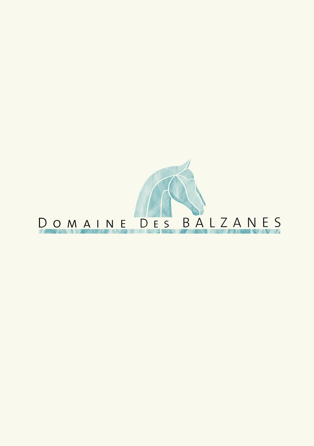 logo horse Domaine des Balzanes cheval jument