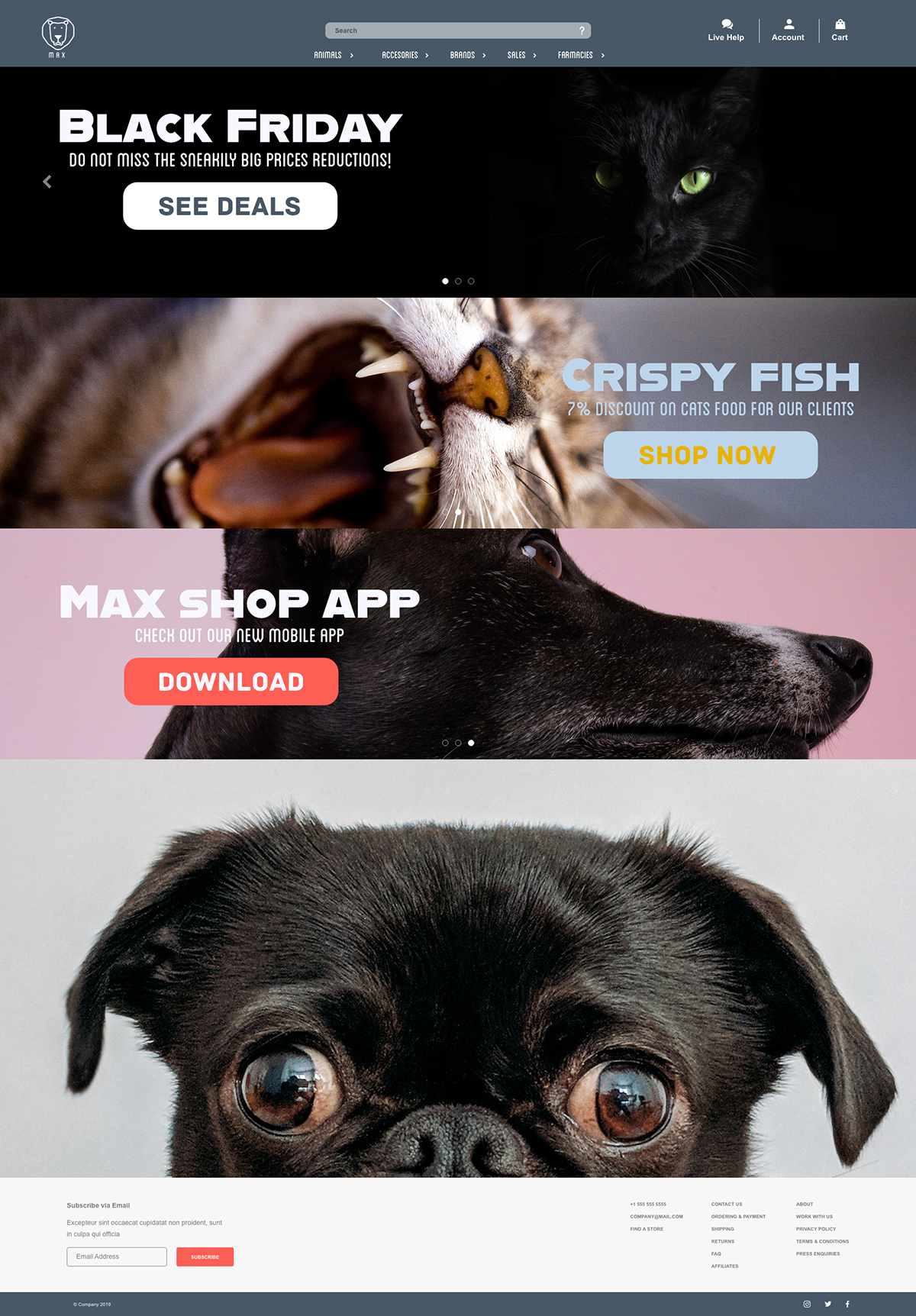 XDCreativeChallenge Adobe XD UX UI DESign CreativeHunger DesignMadness UXLover WebDesign WWW animals adobe photoshop XD