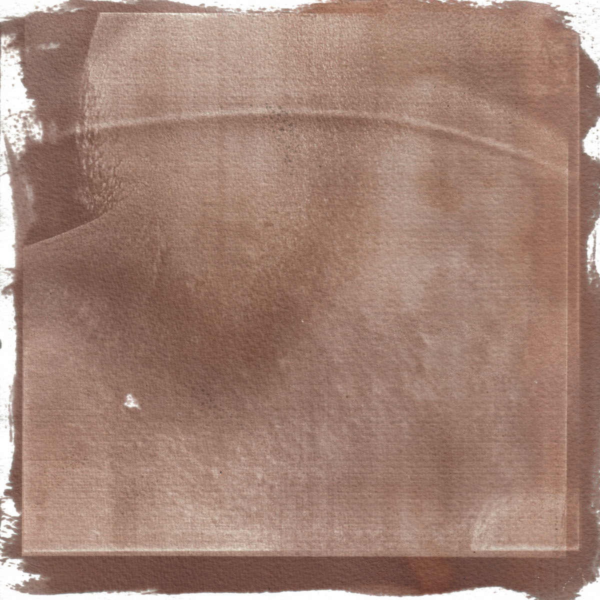 talbotype salted paper salt paper calotype talbotipo calotipo abstract male man body Landscape skin sun print