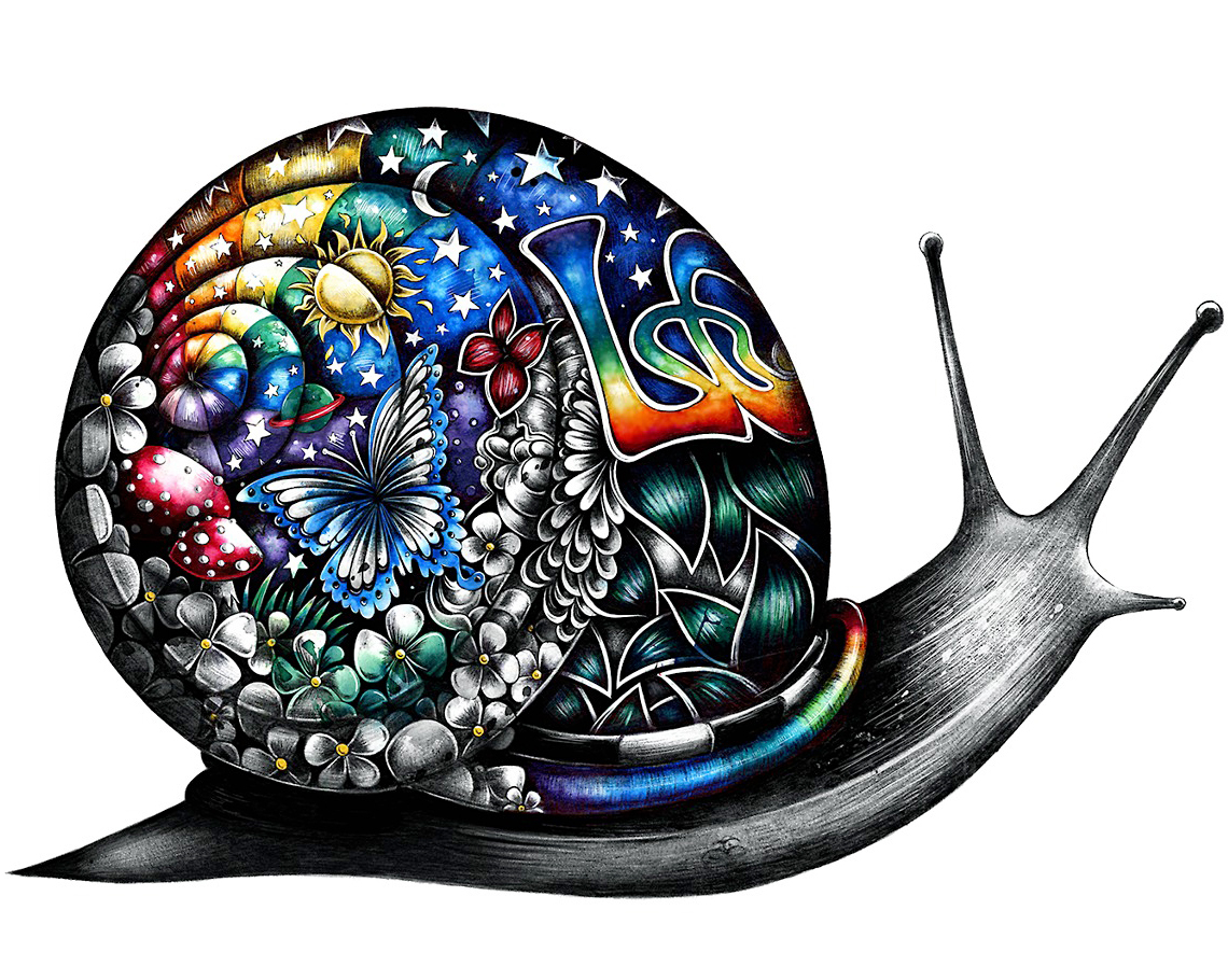 skull bones birds elephant sketchbook skeleton city dog snail hippie fish tiger rainbow heart beetle