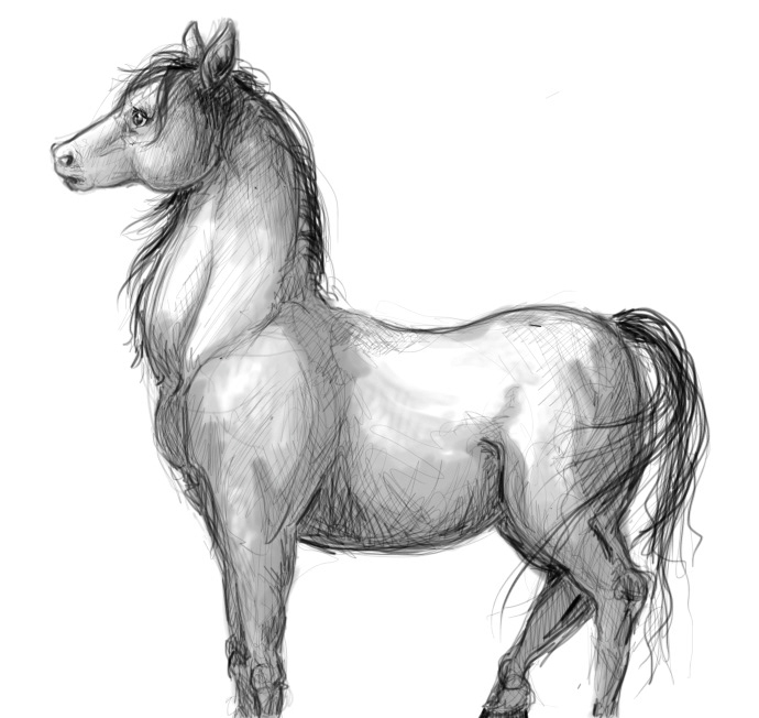 horse sketch profile