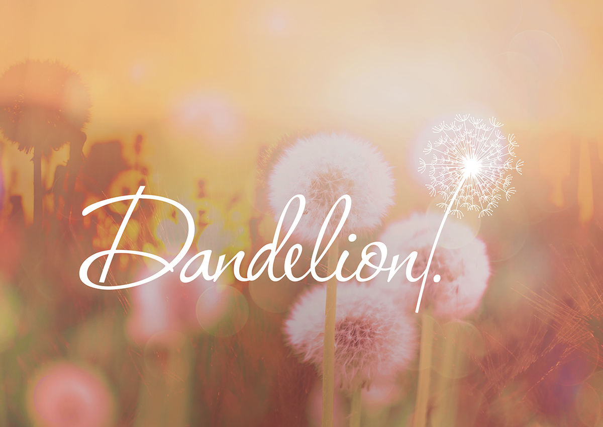 bombay India bespoke sleepwear PJ's dandeliondreams dandelion dreamy sweetdreams Nightwear
