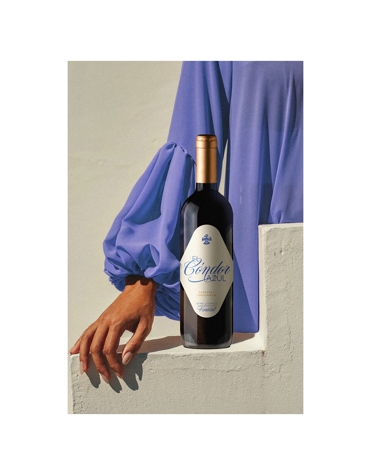 wine Label Packaging Logo Design brand identity Mockup chile Logotype blue