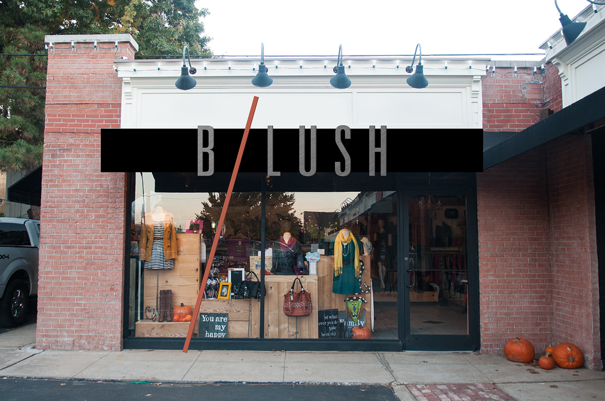 blush Clothing Retail
