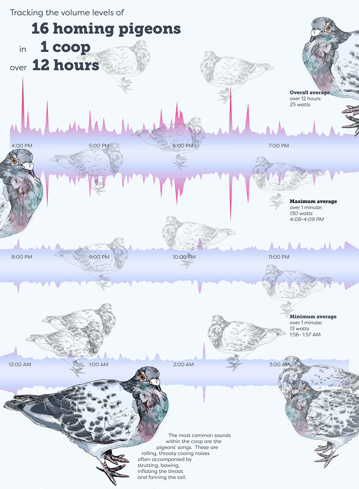data visualization Illustrative pigeon Volume Arduino poster Poster Design