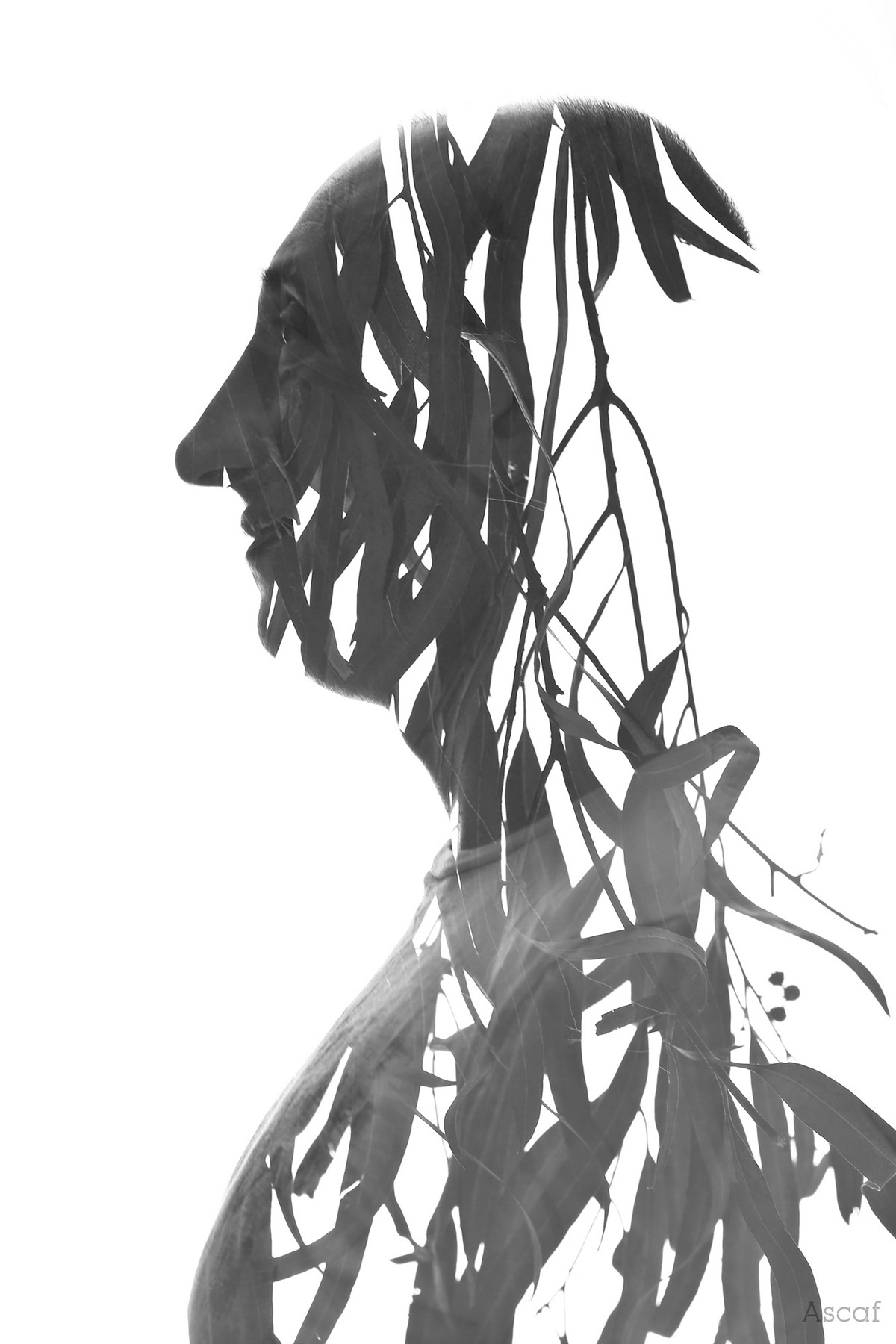 Ascaf double exposure portraits israel Nature people humans leaves branches