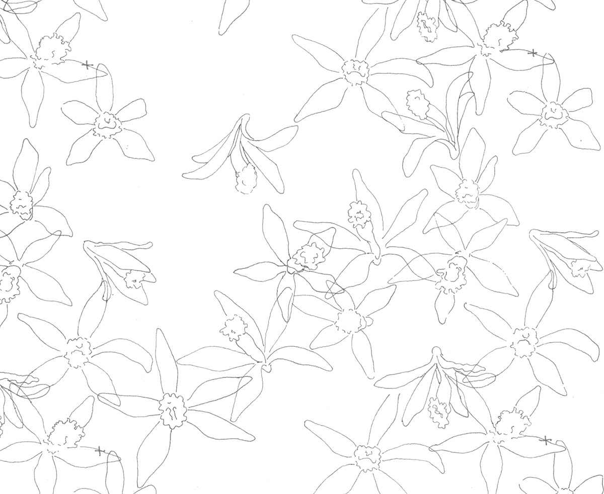 floral print textile design pattern