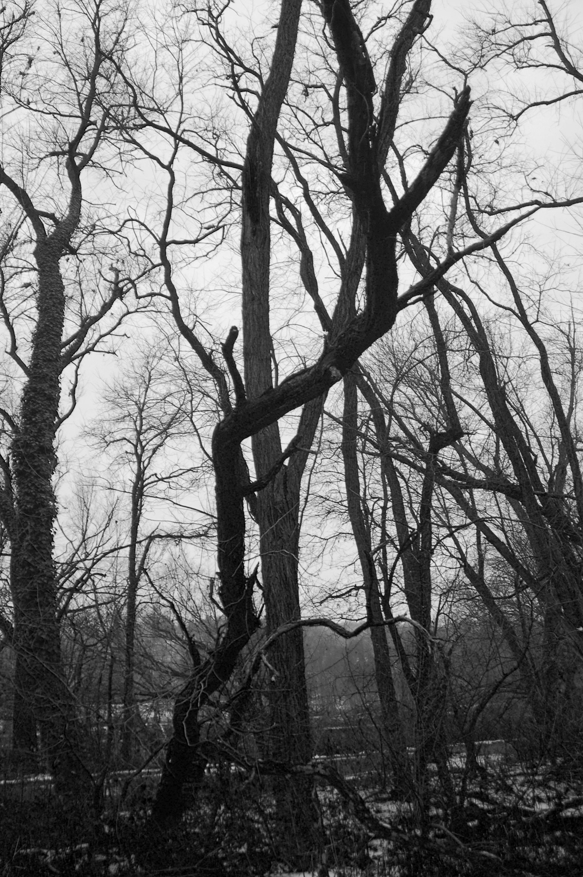 sally mann black and white Landscape Human Body decay dark