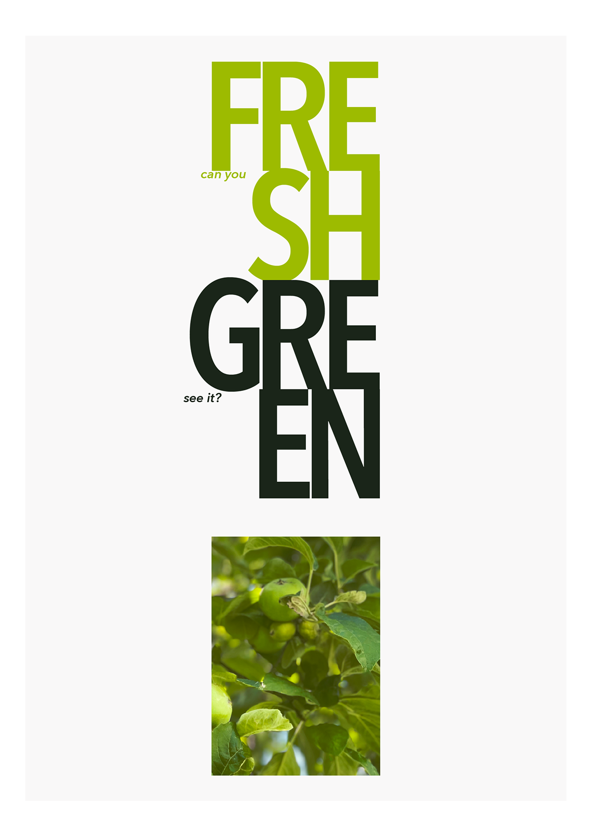 editorial green Layout Nature Photography  poster Poster Design posters fresh editorial design 