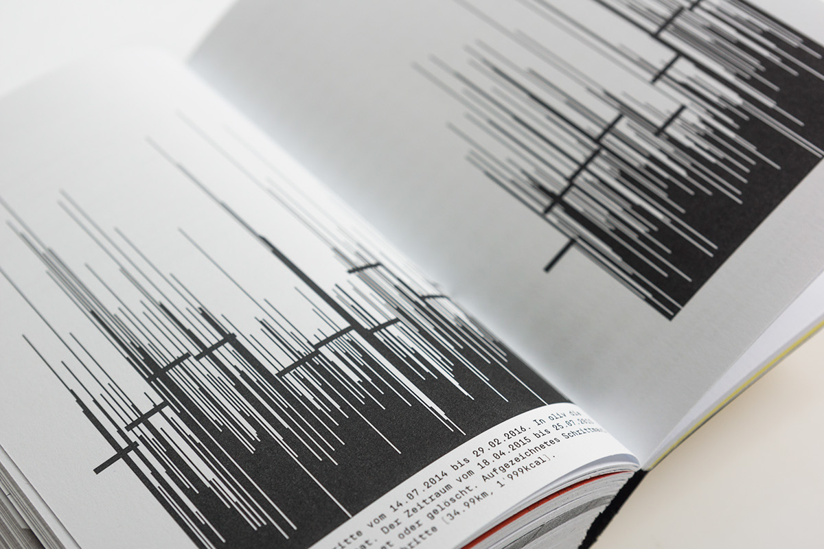 bachelor graphic design editorial book information visualization Data infographics
