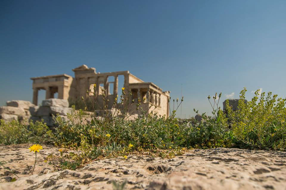 Greece arachova athens santorini Aegina piraeus Travel travelphotography SocialDocumentary landscapes culture
