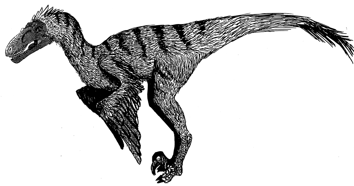 Dinosaur darwin ink Victorian naturalist Dino