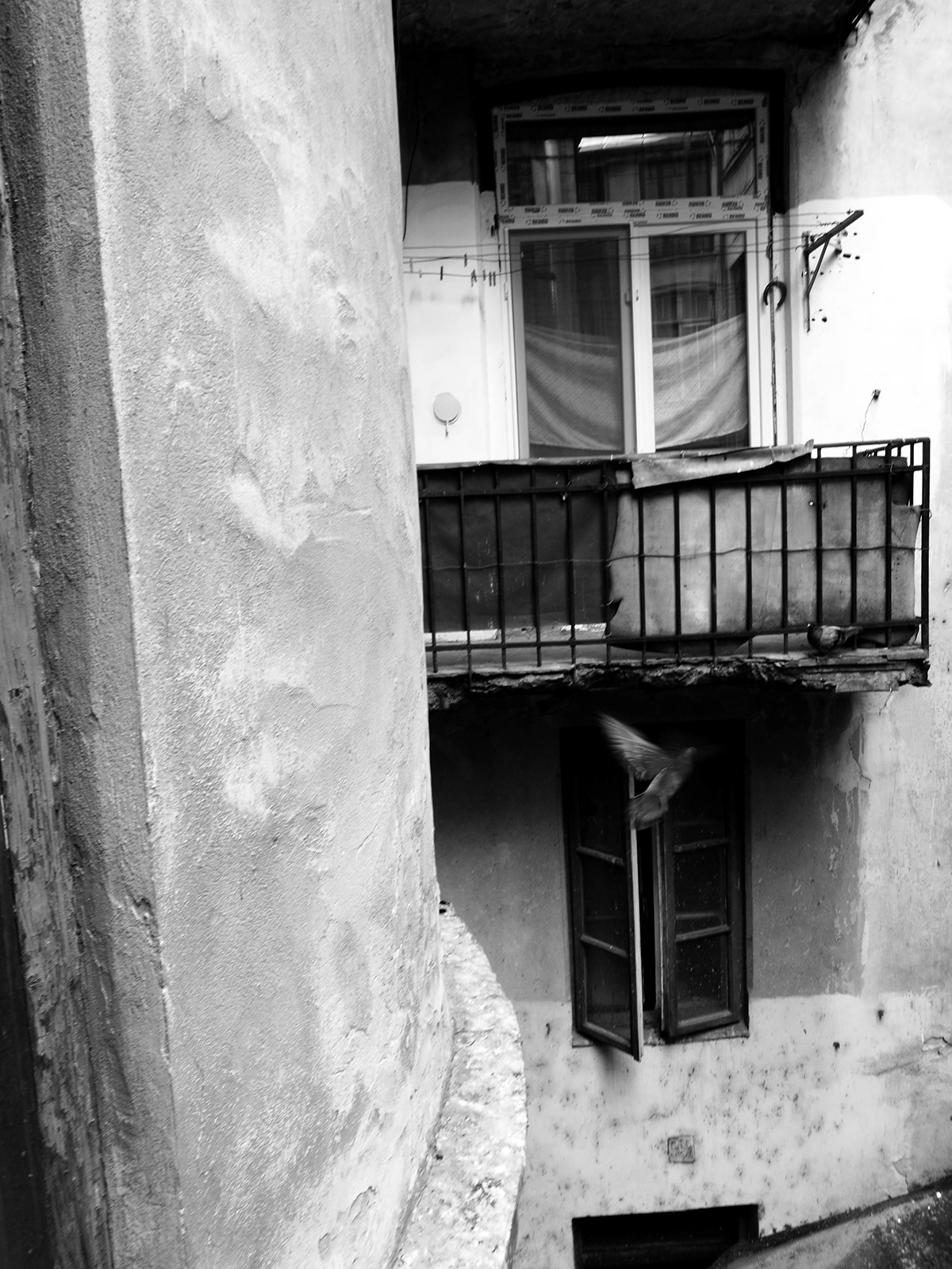 street photography black and white monochrome bucharest romania Photography 