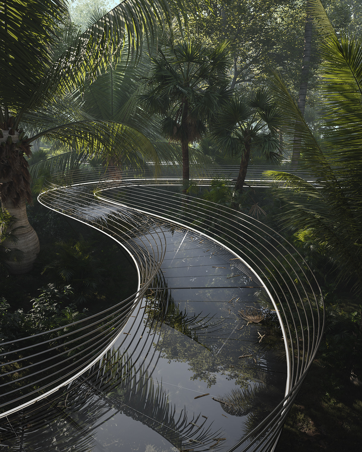 bridge concept forest jungle Nature palmtree