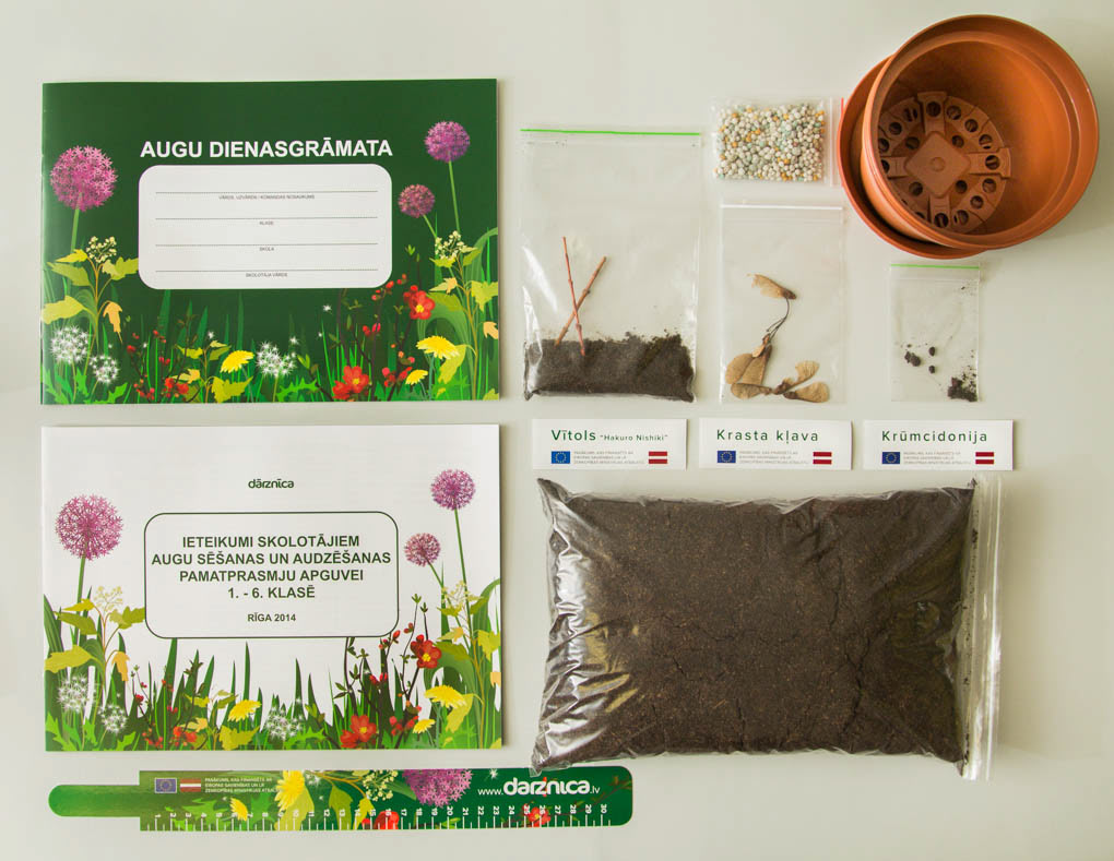 plant journal Guide children plants growing environment