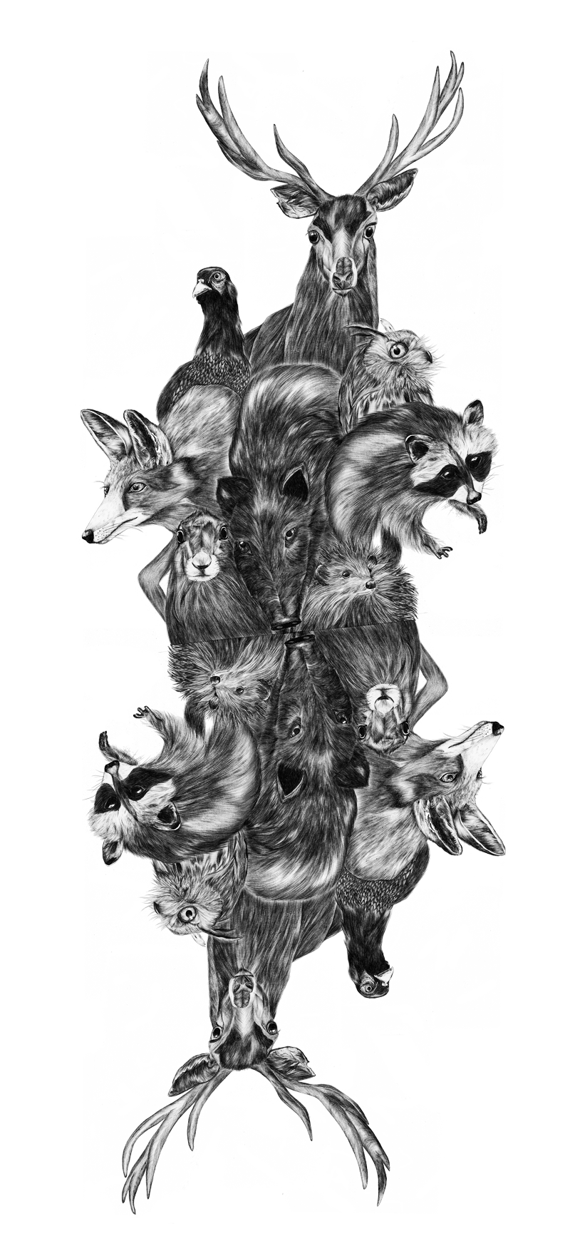 rabbit FOX deer racoon boar owl Hedgehog realistic playing card maybug autmn biro poster