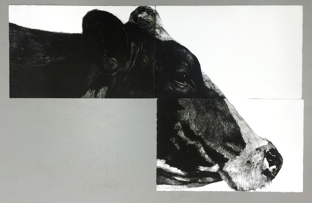 lithograph lithography printmaking cow farm animal