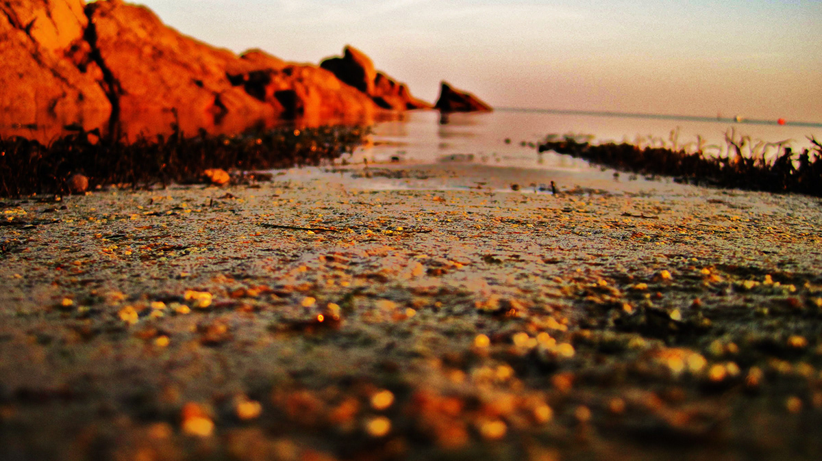 jersey beach gorey sunset rocks seaweed lovely Sun