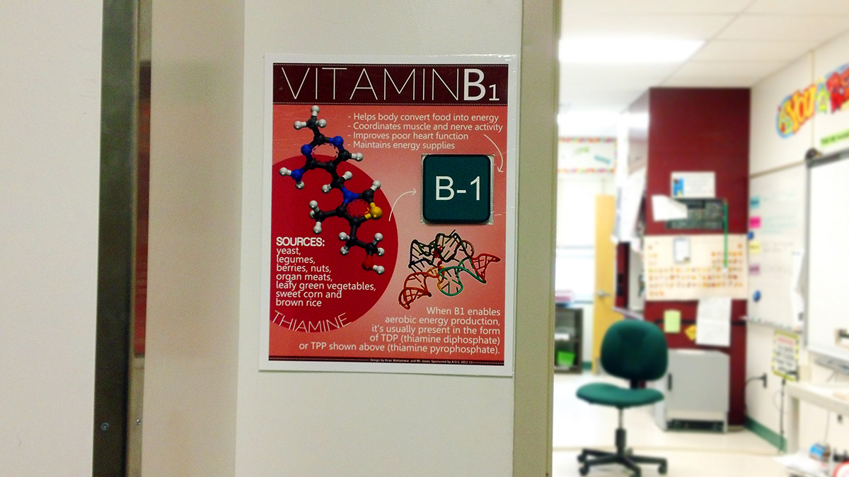 vitamin  project  science  posters b12 B1  B3  B5  B7  B2  layout  design High School