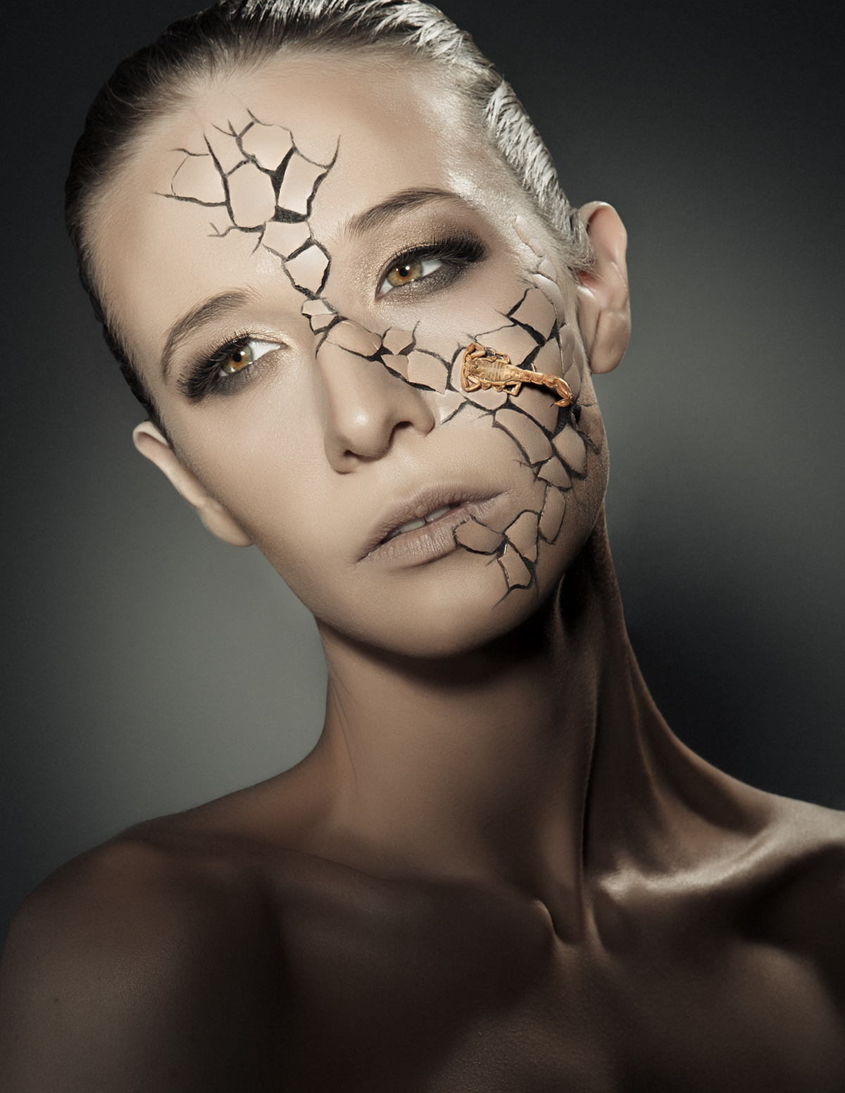 bugs bees centipede butterfly ants flying ants moths beetle scorpion bright colorful makeup beauty retouch skin