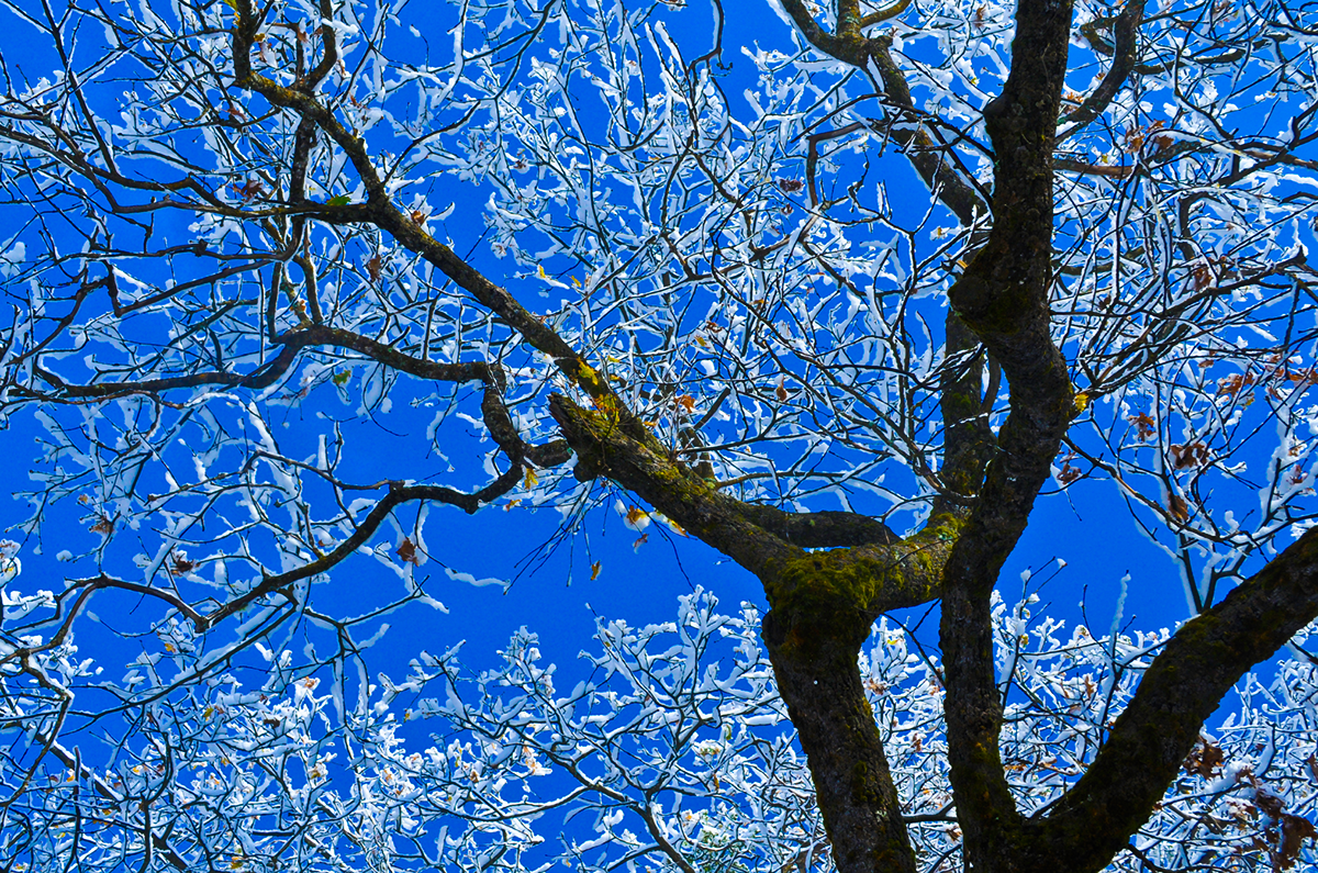 yosemite snow storm assignment stock photography cold blue waterfall ice water quiet silence David Jordan Williams williamsstudio autumn winter peace