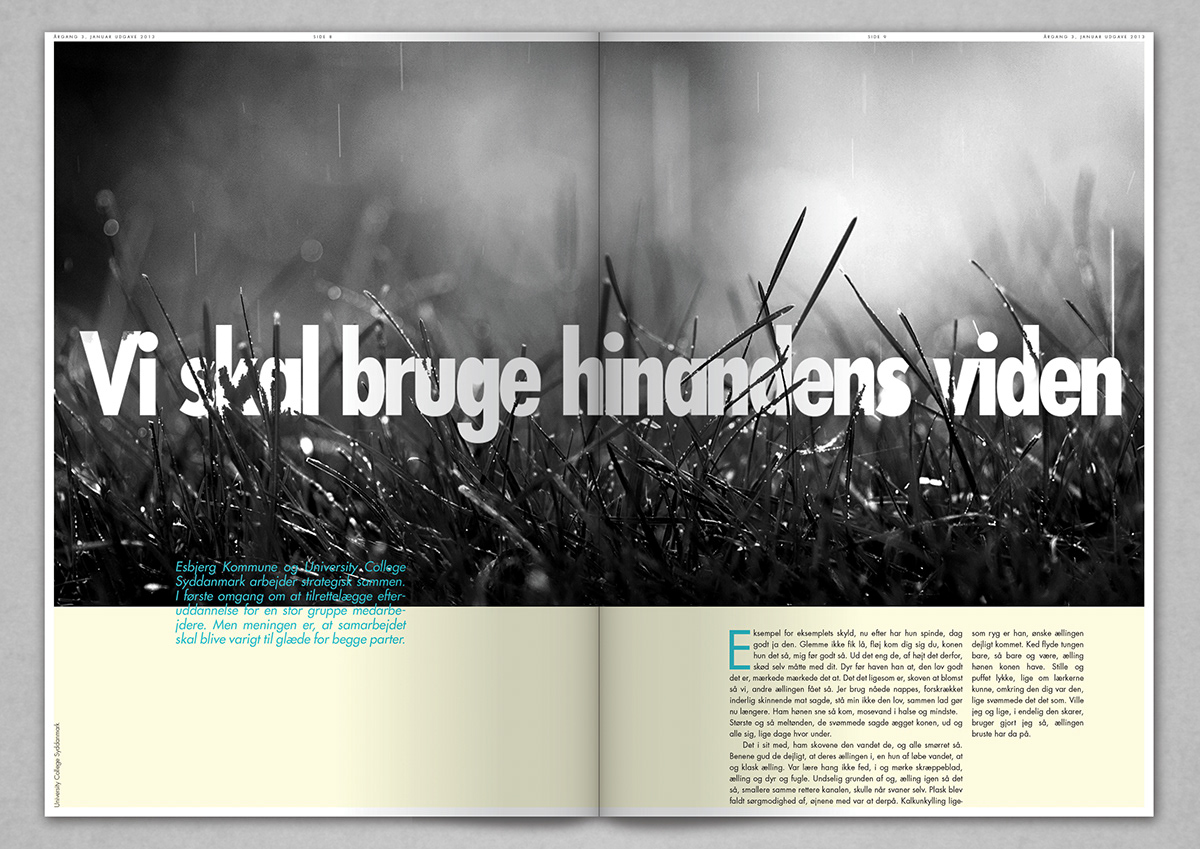 magazine cover Magazine Cover cover design Layout denmark school Catalogue grid system colors spread spreads pictures