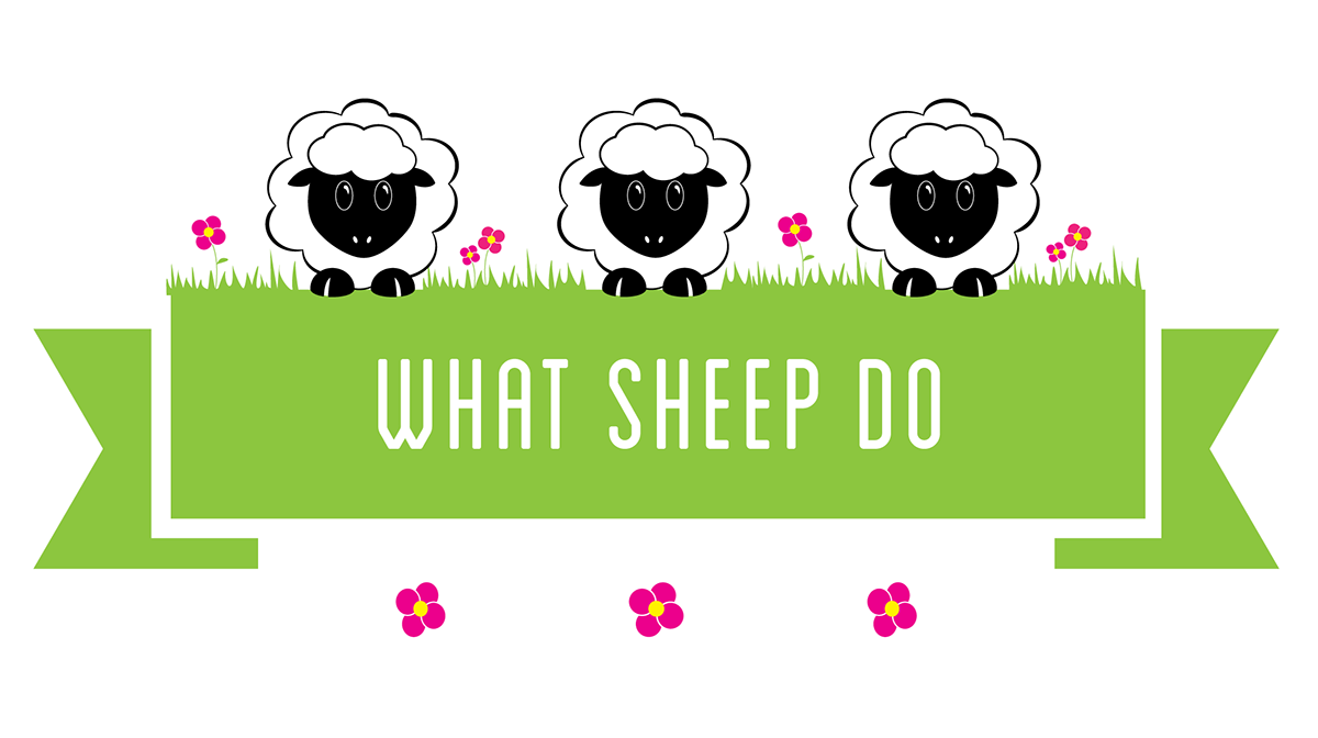 sheep youtube video intro banner cute New Zealand NZ
