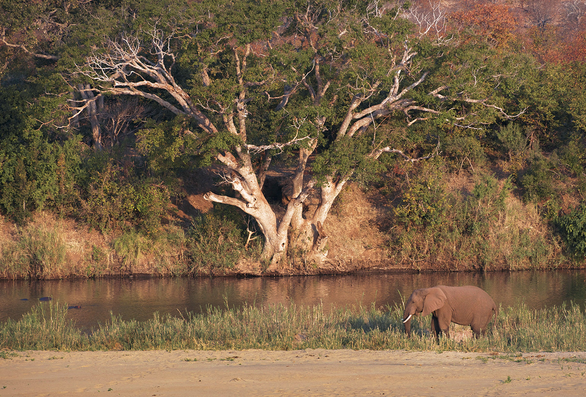 south africa Namibia Botswana Zimbabwe Zambia malawi mozambique landscapes wildlife