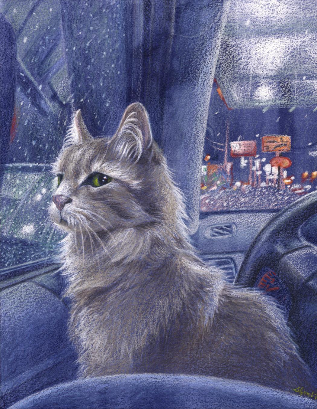 Cat kitty car Travel Transit Transition city lights night