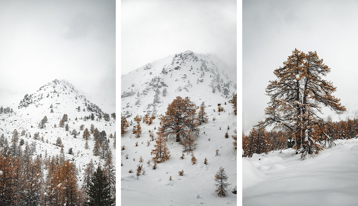 autumn Landscape winter mountain hiking RoadTrip snow forest alps france