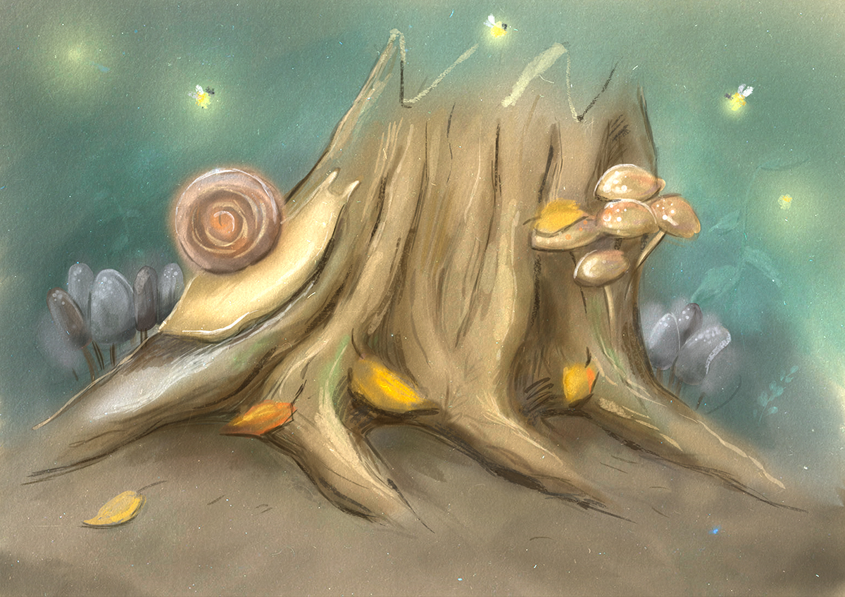 art forest snail artist graphics Tree  Nature light