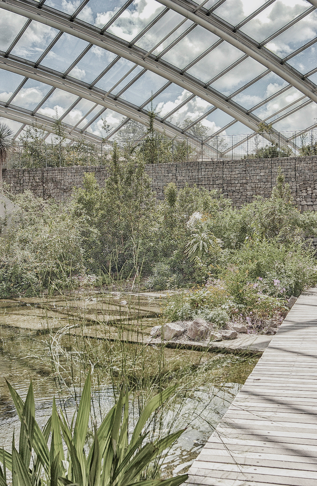 Foster + Partners National Botanic Garden of Wales The Great Glasshouse Phillip Roberts