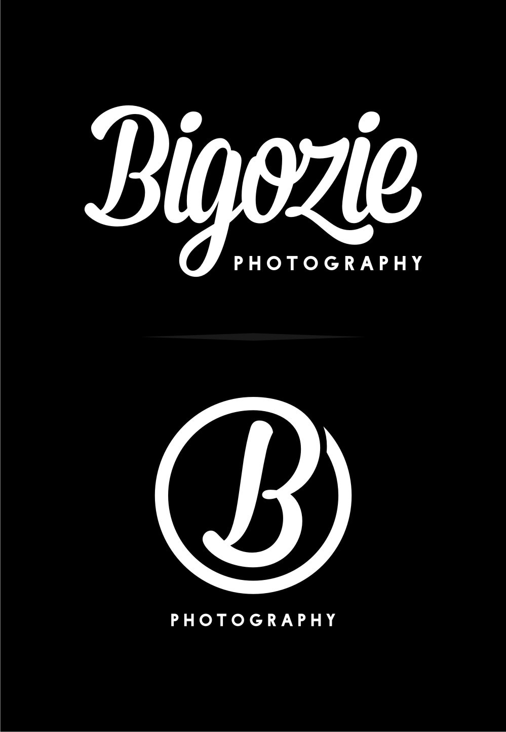bigozie photography logo Logotype custom font twicolabs