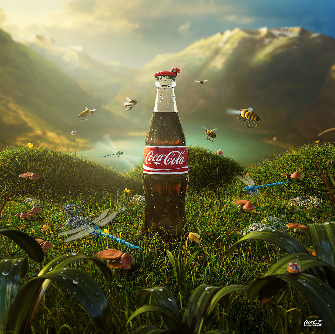Rune Bendiksen hanrune Coca Cola