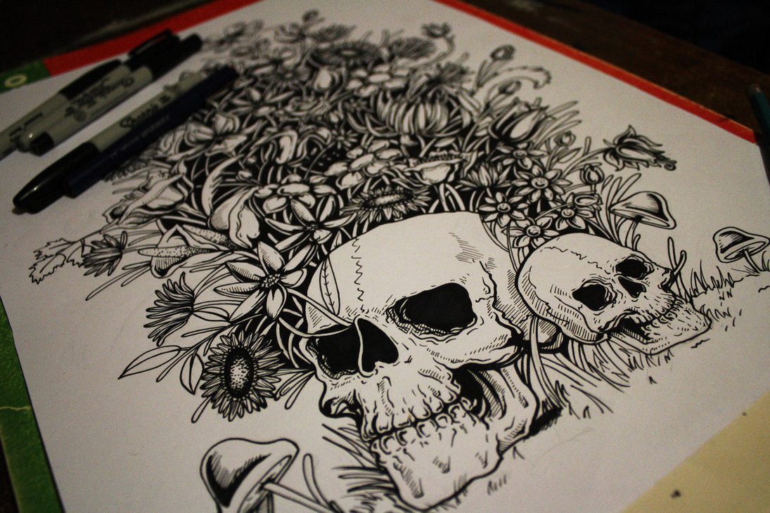 skulls Flowers doodles inking animals ink thefreak sketch