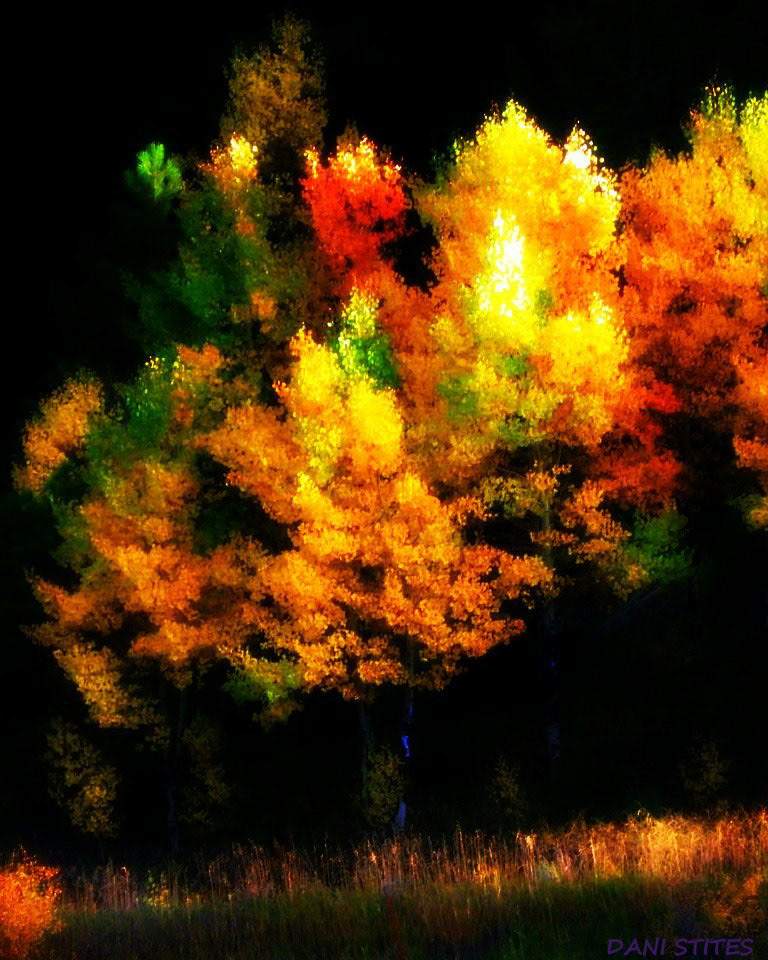 autumn Fall seasons aspens gold orange red green Rocky Mountains Colorado aspen leaf color Nature wilderness