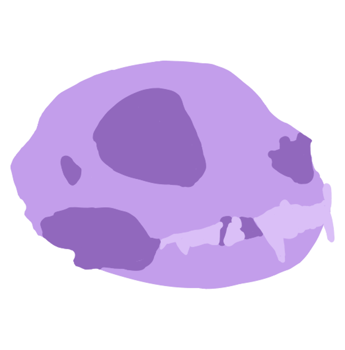 Cat skull animal skull animal purple Tritone simple cat skull