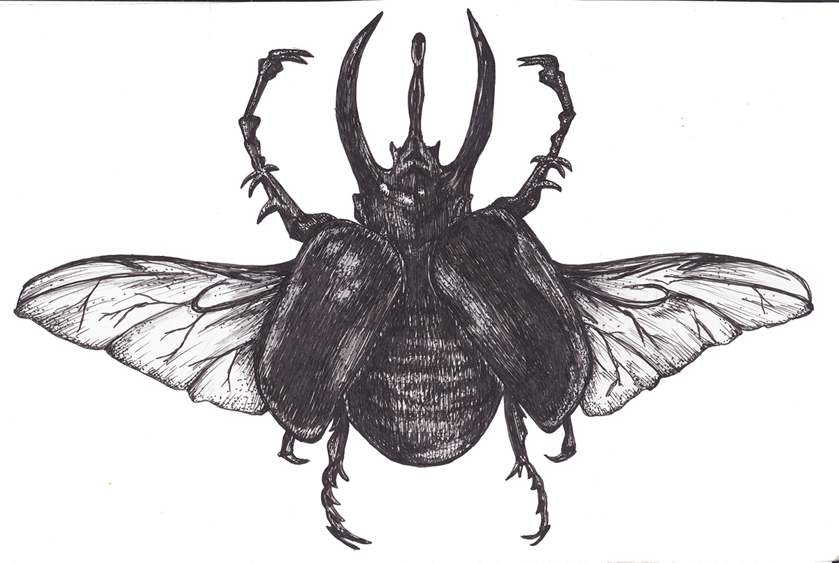 beetle bug ink pen poster Piano recital design