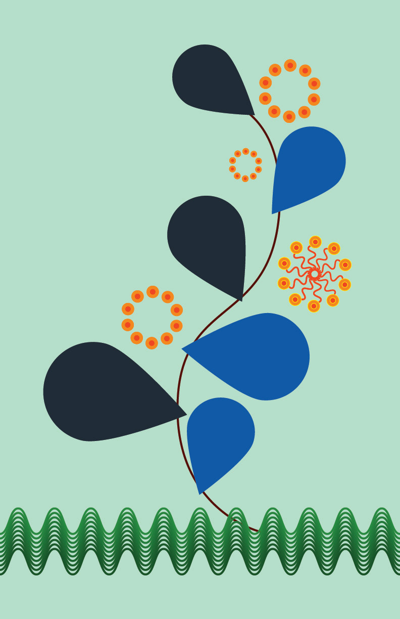 adobe illustrator decorative Digital Art  digital illustration floral flower ornament pattern Plant vector