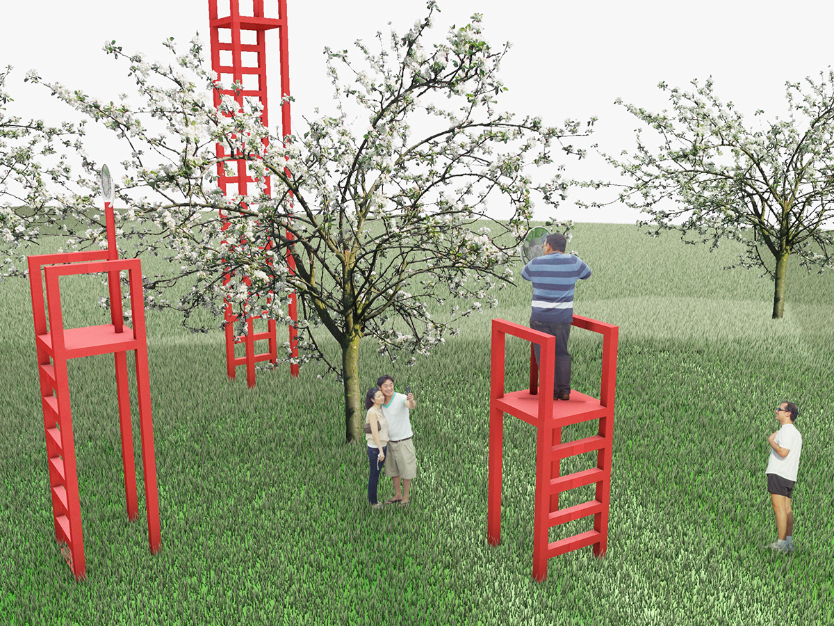 cherry tree ladder magnifying glass cherry Outdoor garden Tree 