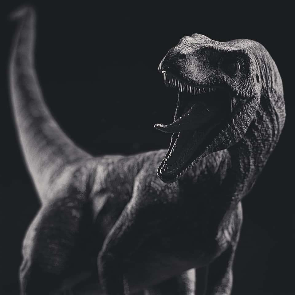 3D blackandwhite collectible creature Dinosaur jurassic mascote noir velociraptor Zbrush