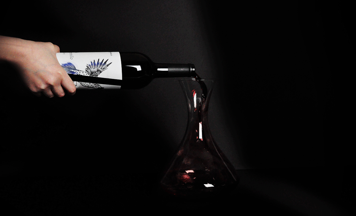 firmalt wine bottle Packaging design branding  ILLUSTRATION  label design premium product